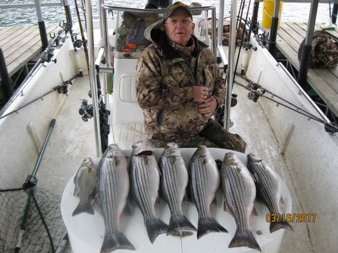 Nice Striped Bass